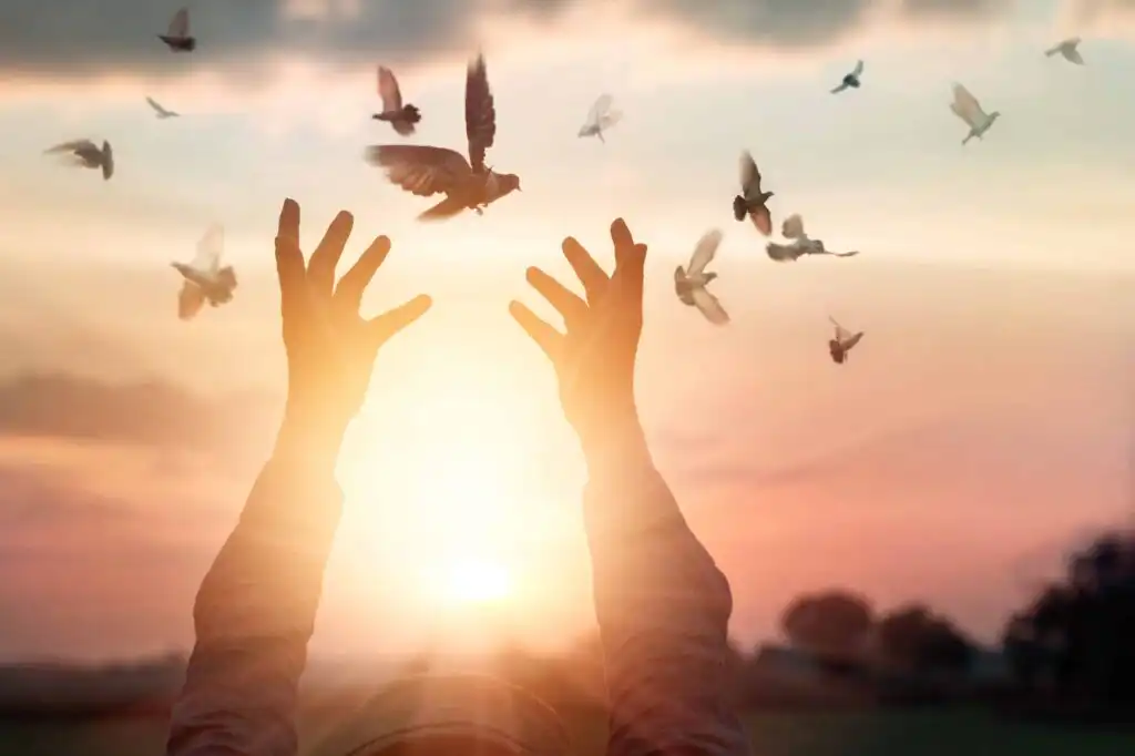 Spirituality and Addiction