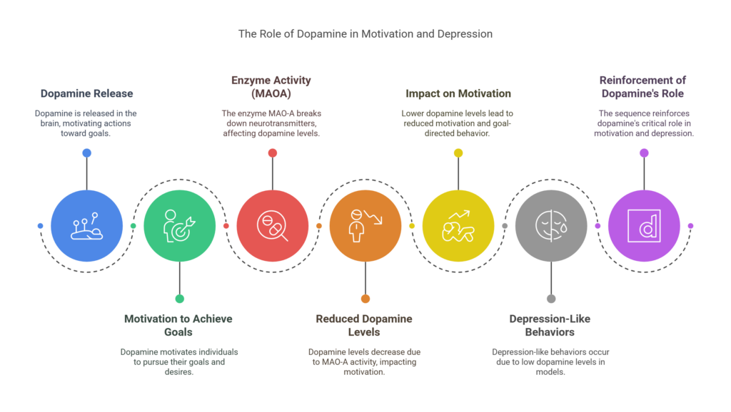 what causes depression brain and how is dopamine affecting depression