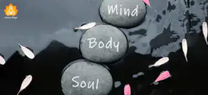 Pillars of Holistic Health