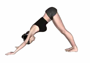 facing dog pose