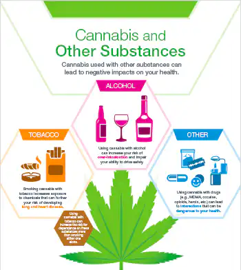What is Marijuana?