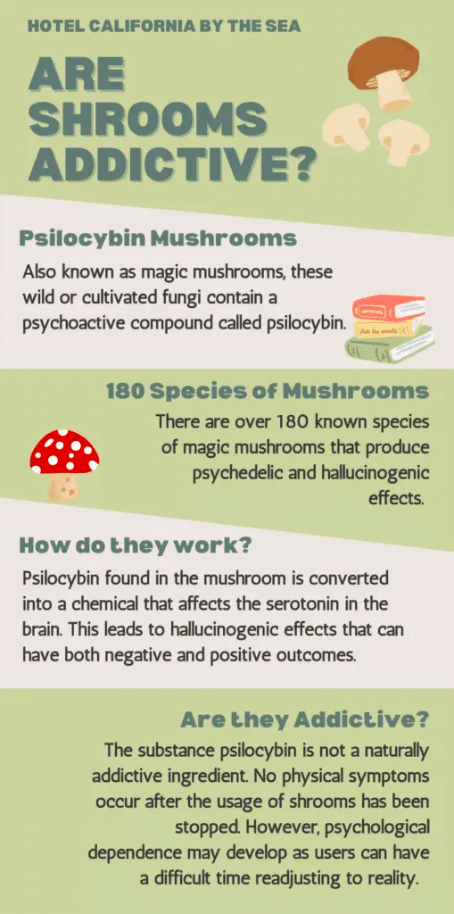 What are the treatment options for addiction to mushrooms?