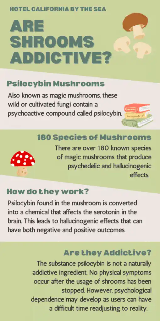 What are the treatment options for addiction to mushrooms?