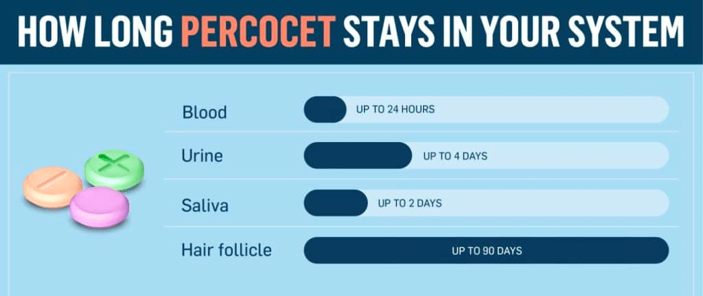 How long does Percocet stay in your system and urine?