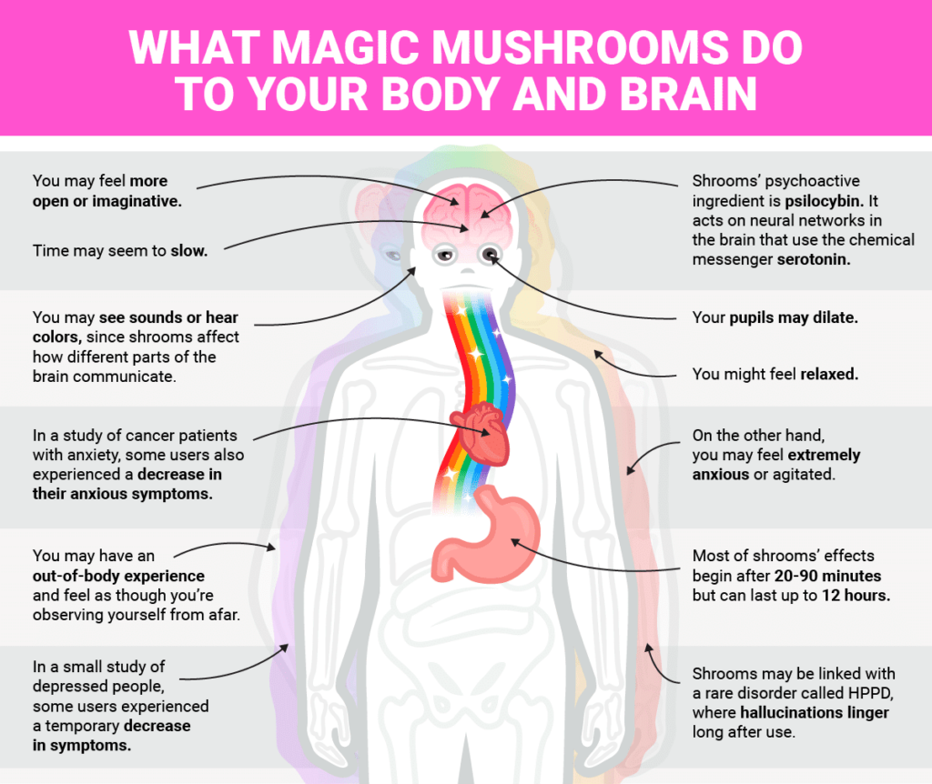 Mushroom Addiction: Signs, Symptoms, & Treatment