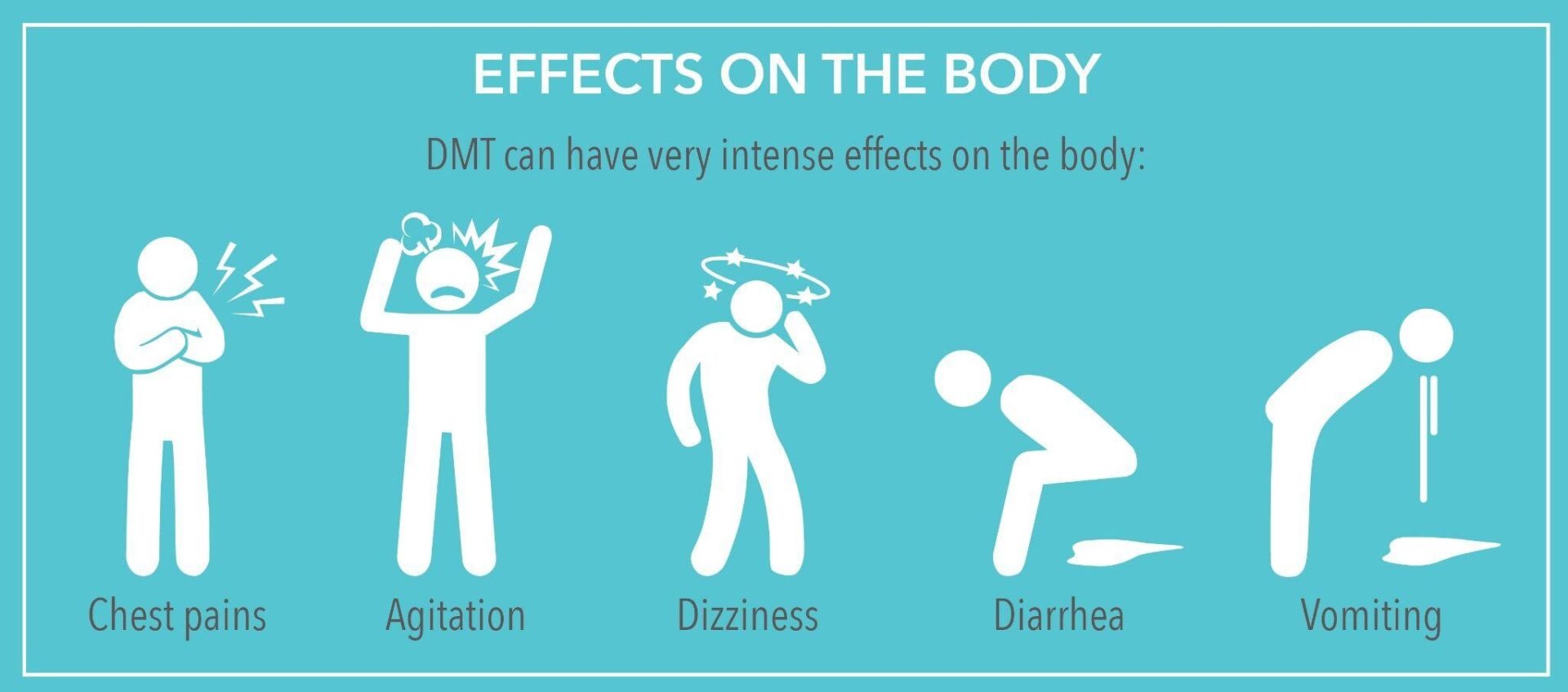 Effects of DMT