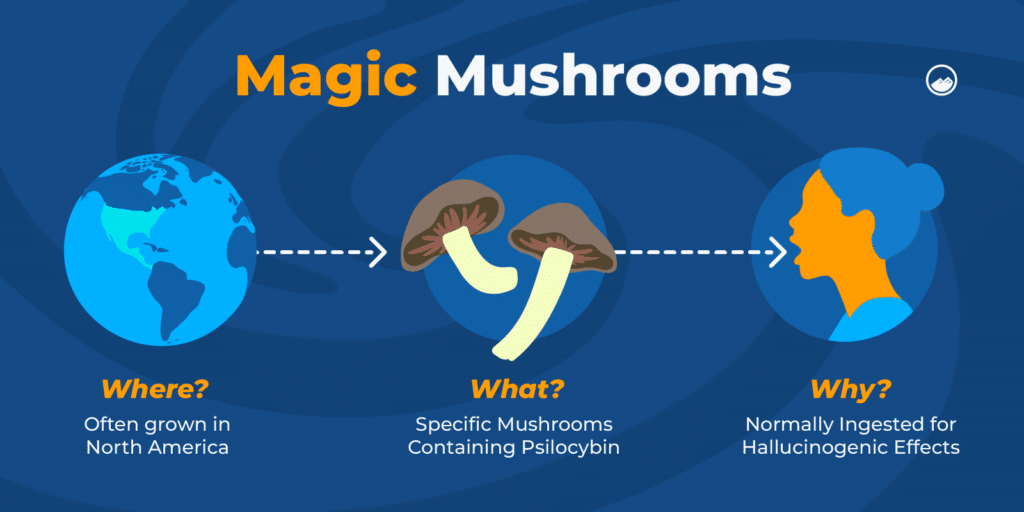 Addiction to mushrooms