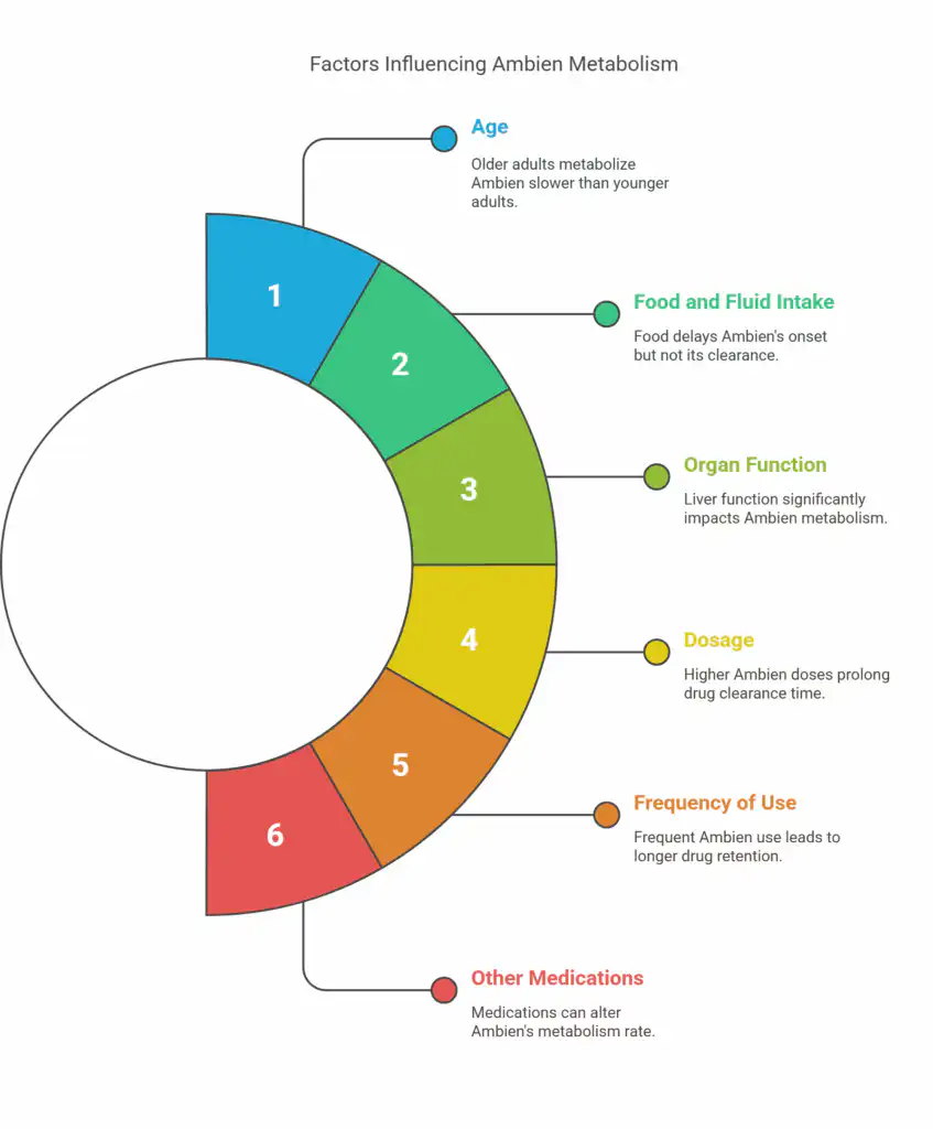 Factors That Influence How Long Ambien Remains in the System