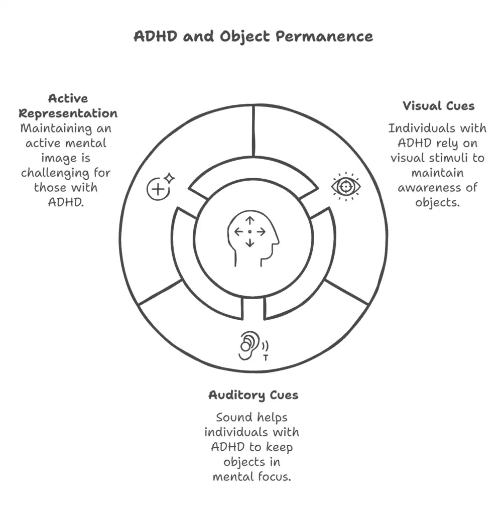 Do People With ADHD Lack Object Permanence? 