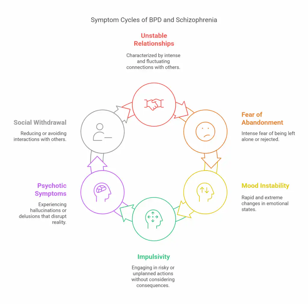 Symptom Cycles of BPD and Schizophrenia