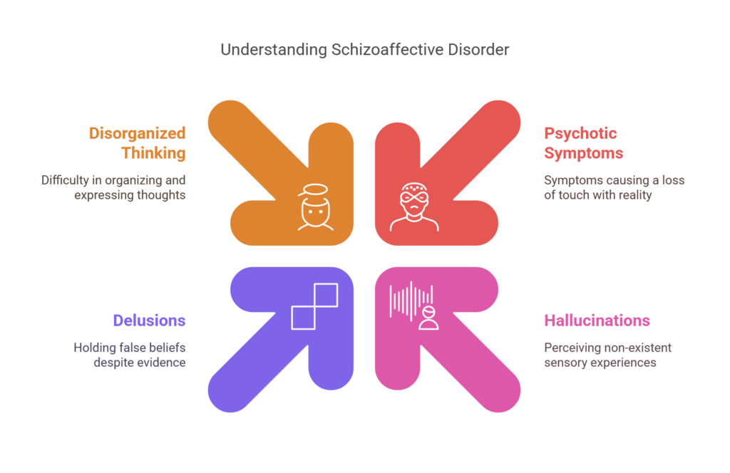 What is Schizoaffective Disorder_ - visual selection