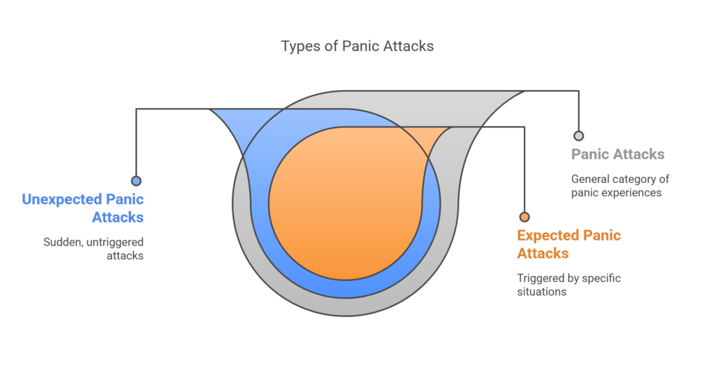 what are the types of panic attacks