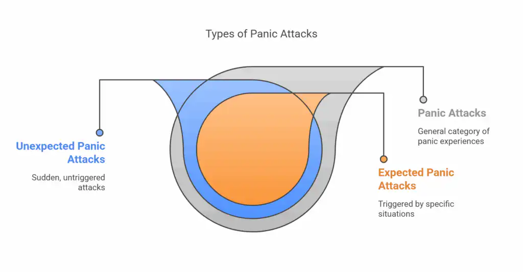 what are the types of panic attacks