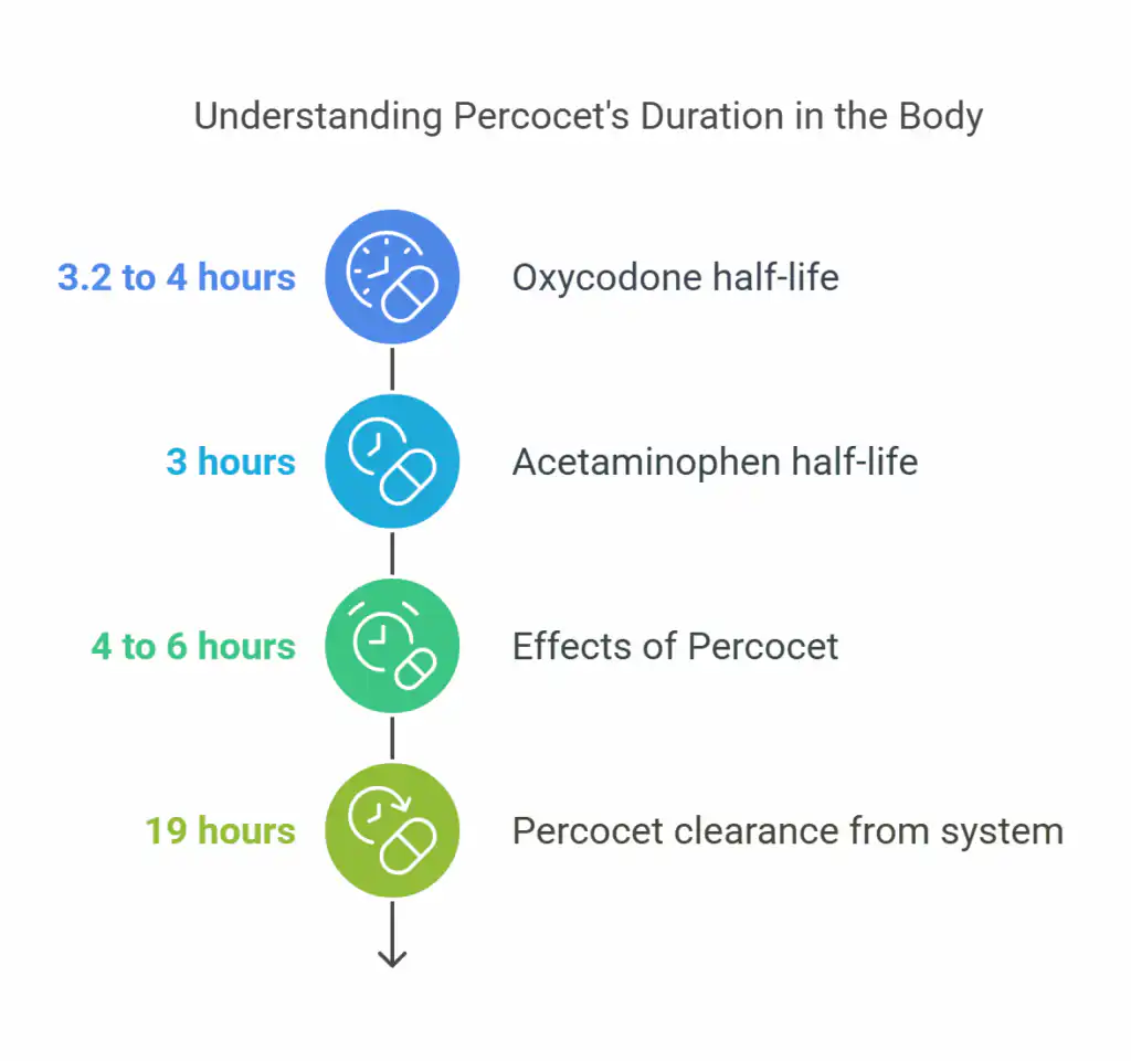 How Long Does Percocet Stay in Your Body_ - visual selection